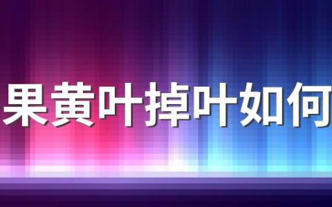 百香果黄叶掉叶如何解决 百香果怎样才能过冬不怕霜冻