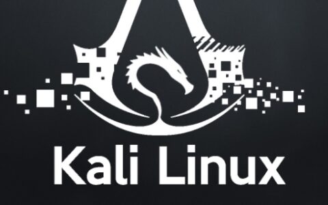 kali linux 新手教程