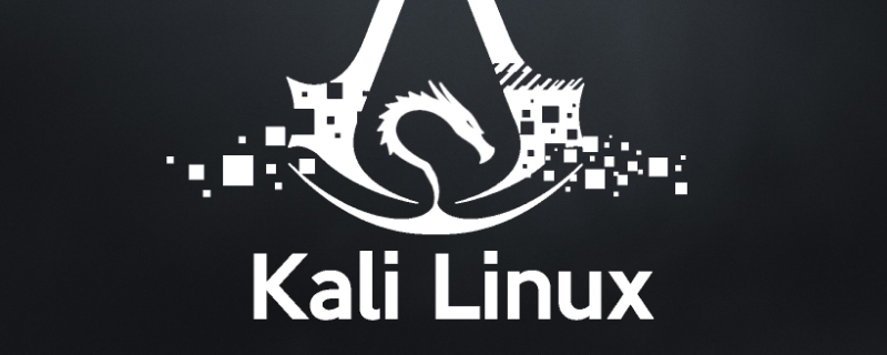 kali linux 新手教程