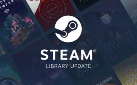 steam链接至stean服务器时遇到问题