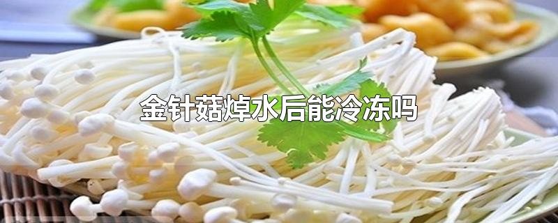 金针菇焯水后能冷冻吗