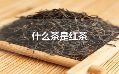 什么茶是红茶