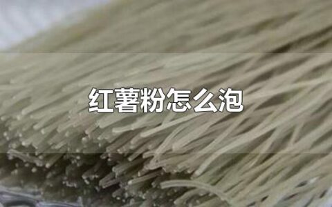 红薯粉怎么泡