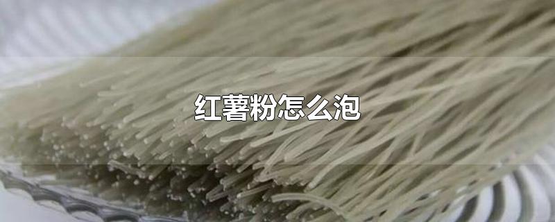 红薯粉怎么泡