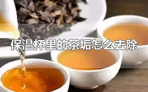 保温杯里的茶垢怎么清理