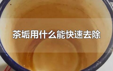 怎样快速去茶垢