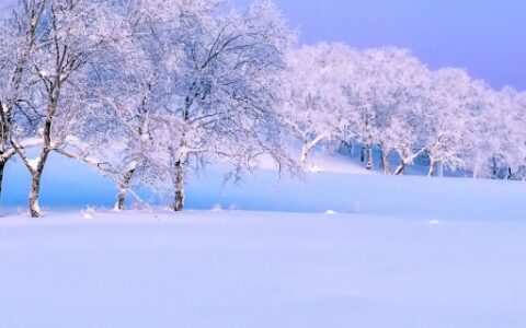 雪是怎么形成的