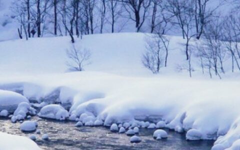 雪花飘飘北风萧萧下一句是什么