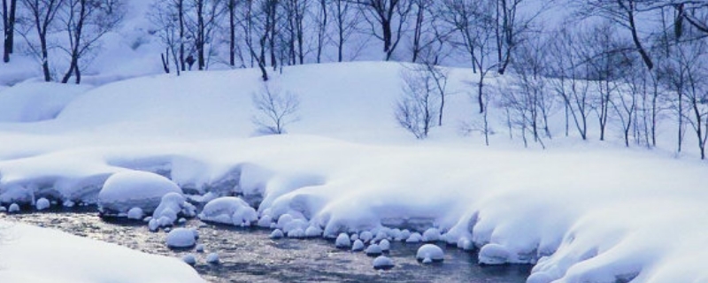  雪花飘飘北风萧萧下一句是什么