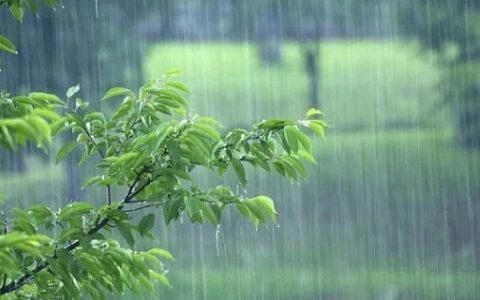 什么的下雨声填空