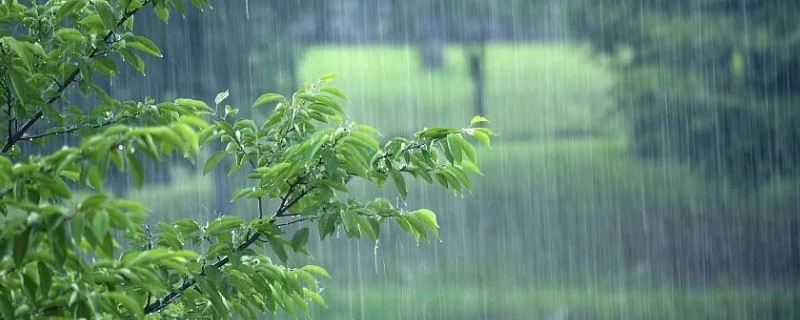 什么的下雨声填空