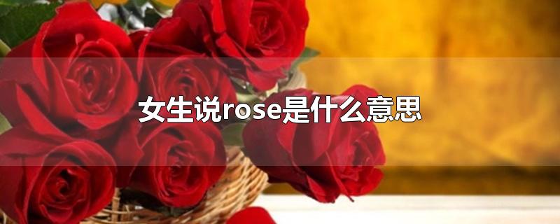 女生说rose是什么意思