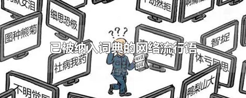 已被纳入词典的网络流行语