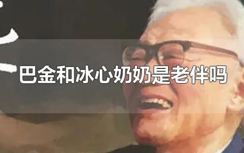 巴金和冰心奶奶是老伴吗