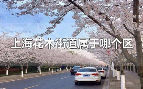 上海花木街道属于哪个区