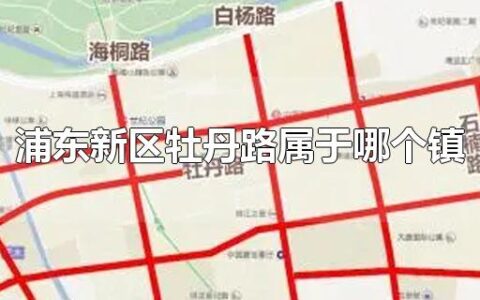 浦东新区牡丹路属于哪个镇