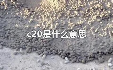 c20是什么意思