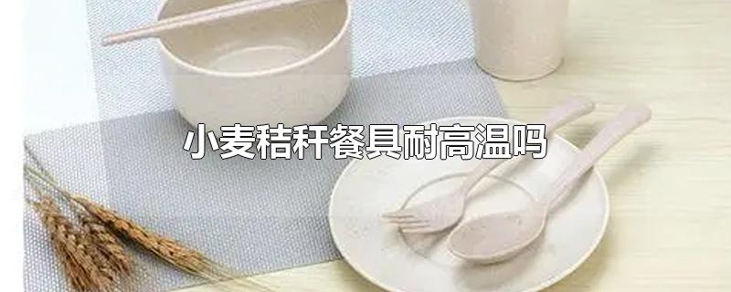 小麦秸秆餐具耐高温吗