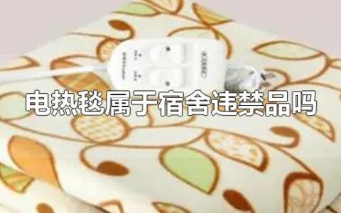 电热毯属于宿舍违禁品吗