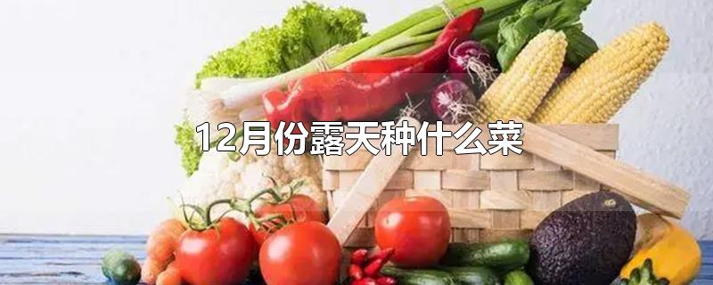 12月份露天种什么菜