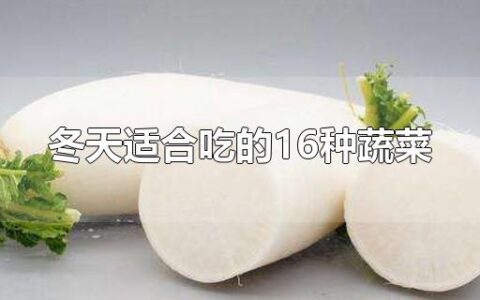 冬天适合吃的16种蔬菜