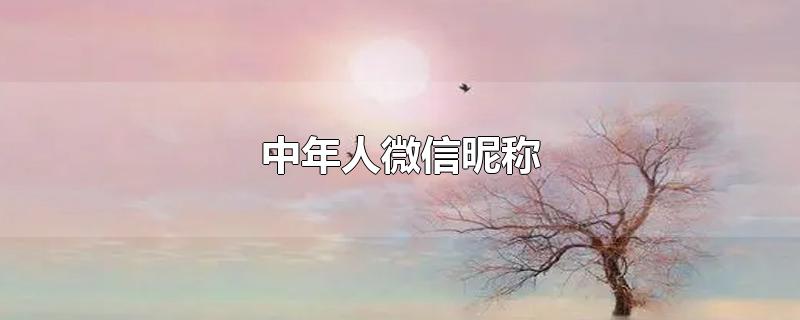 中年人微信昵称