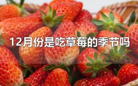 12月份是吃草莓的季节吗