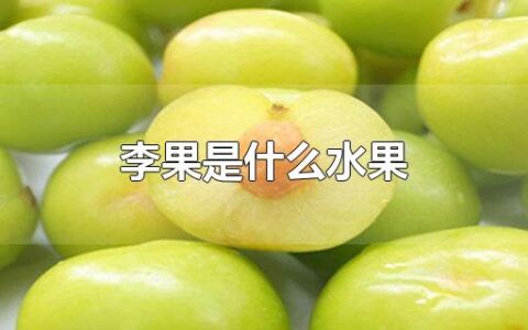 李果是什么水果