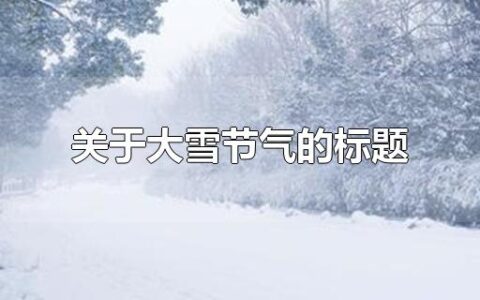 关于大雪节气的标题