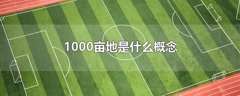 1000亩地是什么概念