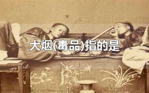 大烟(毒品)指的是