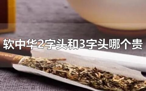 软中华2字头和3字头哪个贵