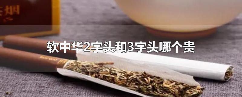 软中华2字头和3字头哪个贵