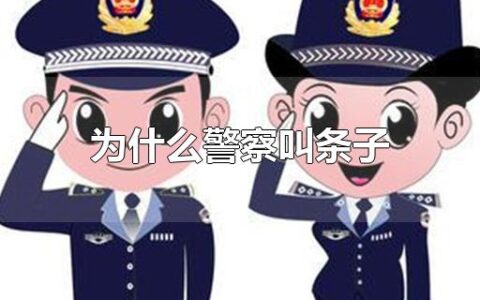 为什么警察叫条子