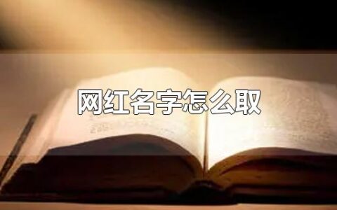 网红名字怎么取