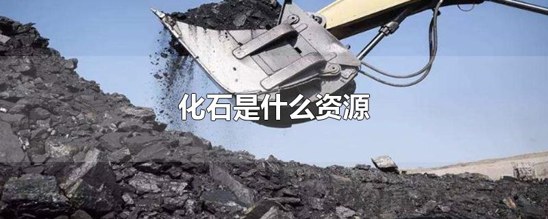 化石是什么资源