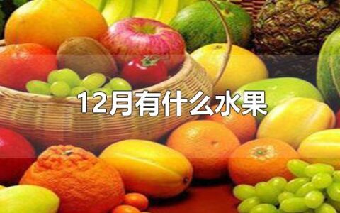 12月有什么水果