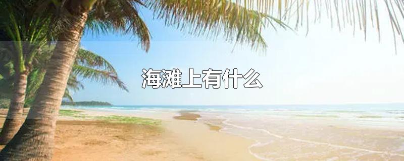 海滩上有什么