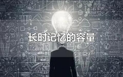 长时记忆的容量