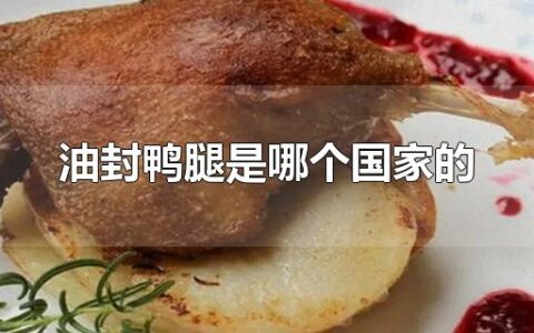 油封鸭腿是哪个国家的