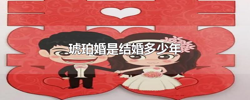 琥珀婚是结婚多少年