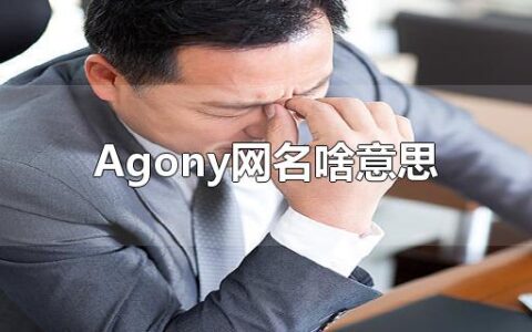 Agony网名啥意思