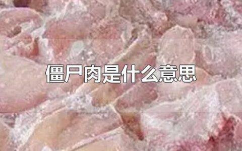 僵尸肉是什么意思