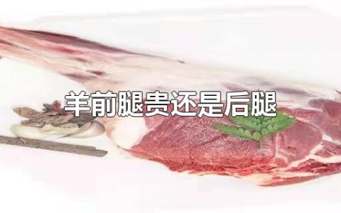 羊前腿贵还是后腿