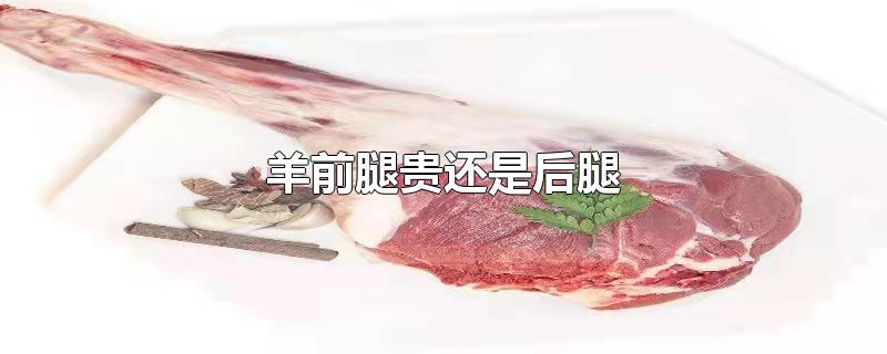 羊前腿贵还是后腿