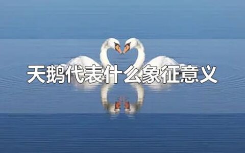 天鹅代表什么象征意义