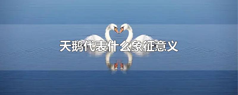 天鹅代表什么象征意义