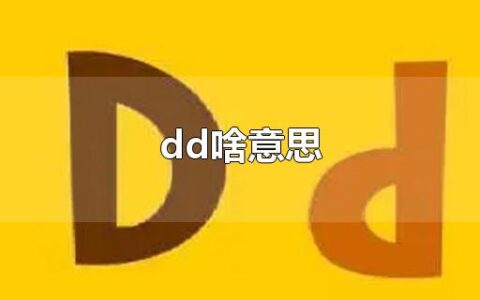 dd啥意思