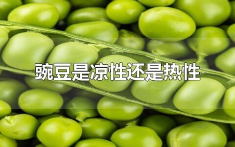 豌豆是凉性还是热性