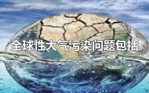 全球性大气污染问题包括